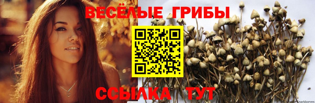 Псилоцибиновые грибы Magic Shrooms  Вход с VPN  Псилоцибиновые грибы Cubensis  Анжеро-Судженск 